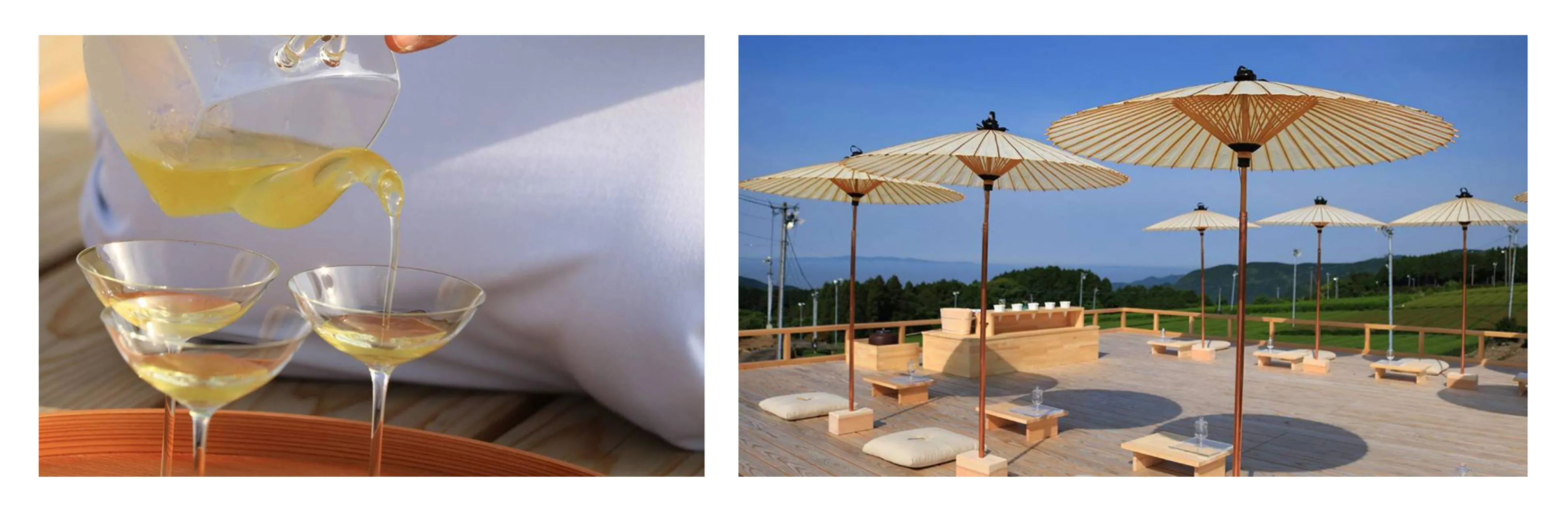 お茶の産地“嬉野”の「Tea Tourism」は茶畑のなかでお茶を楽しめる