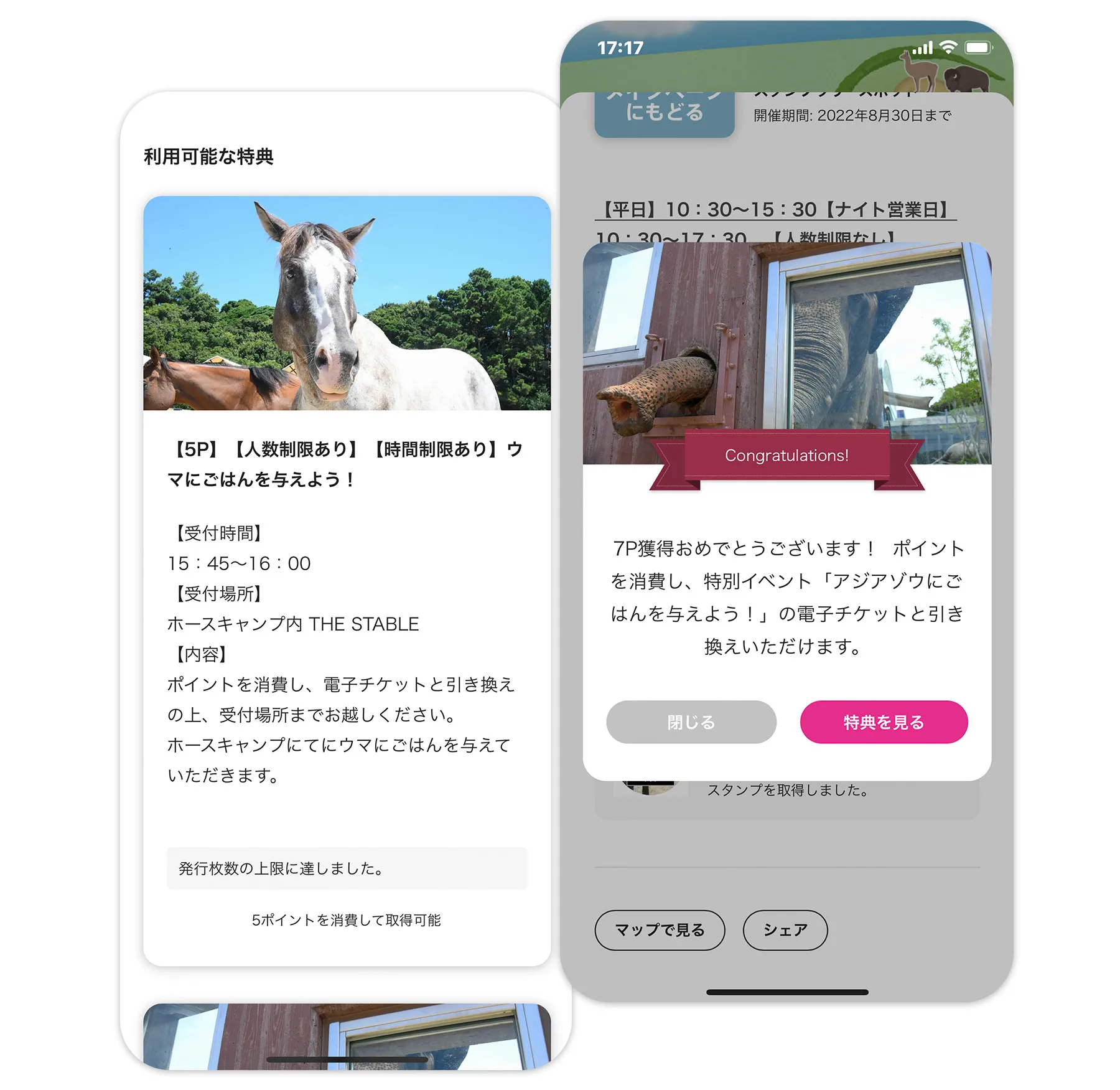 電⼦チケット引換券で様々な特典を設定
